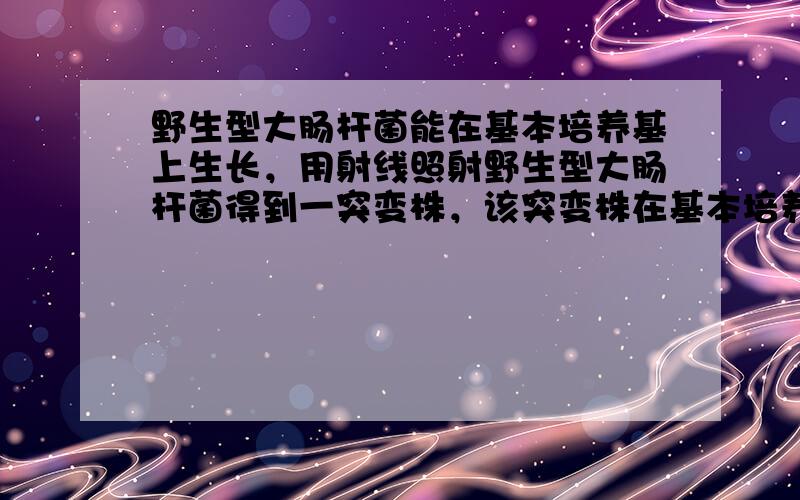 野生型大肠杆菌能在基本培养基上生长，用射线照射野生型大肠杆菌得到一突变株，该突变株在基本培养基上培养时必须添加氨基酸甲后