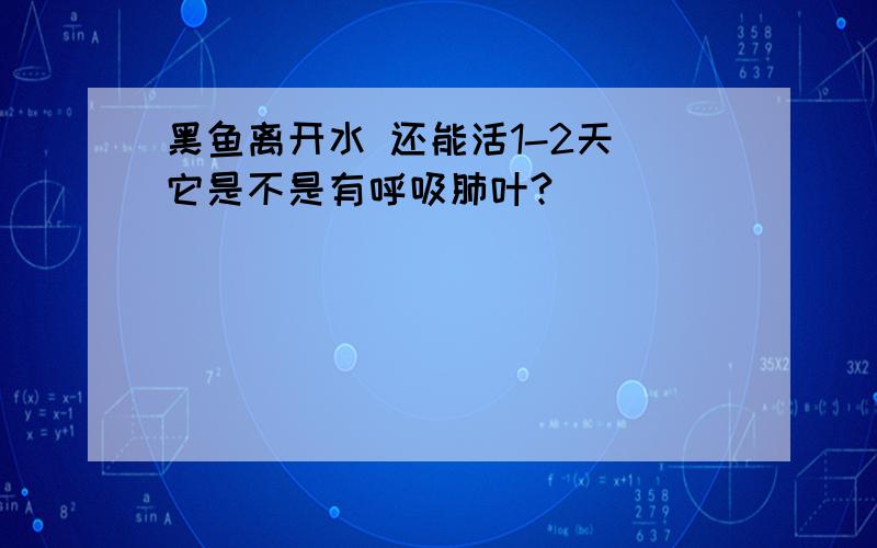 黑鱼离开水 还能活1-2天 它是不是有呼吸肺叶?