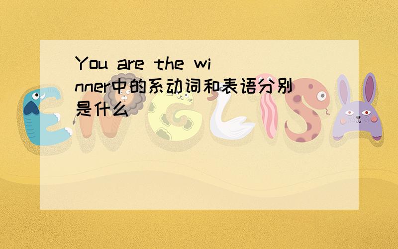 You are the winner中的系动词和表语分别是什么