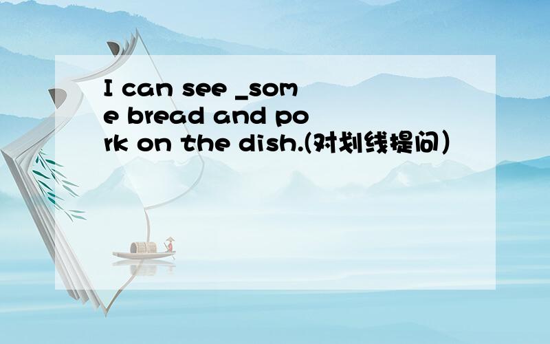 I can see _some bread and pork on the dish.(对划线提问）