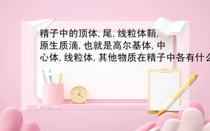 精子中的顶体,尾,线粒体鞘,原生质滴,也就是高尔基体,中心体,线粒体,其他物质在精子中各有什么作用