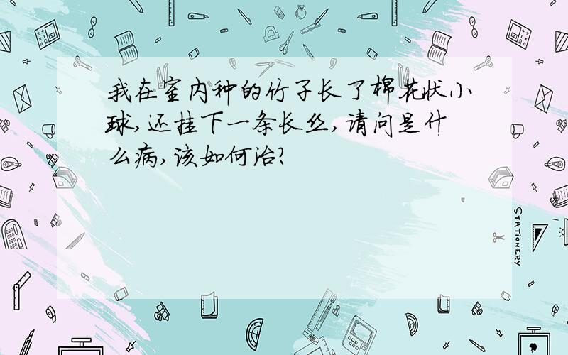 我在室内种的竹子长了棉花状小球,还挂下一条长丝,请问是什么病,该如何治?