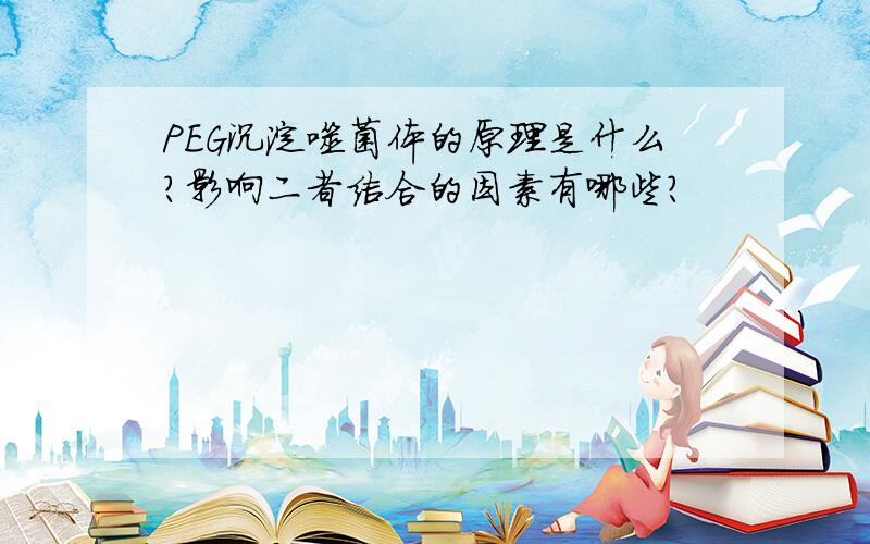 PEG沉淀噬菌体的原理是什么?影响二者结合的因素有哪些?