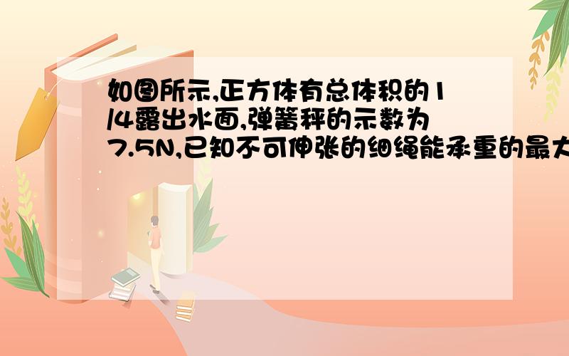 如图所示,正方体有总体积的1/4露出水面,弹簧秤的示数为7.5N,已知不可伸张的细绳能承重的最大拉力为10N,正方体边长