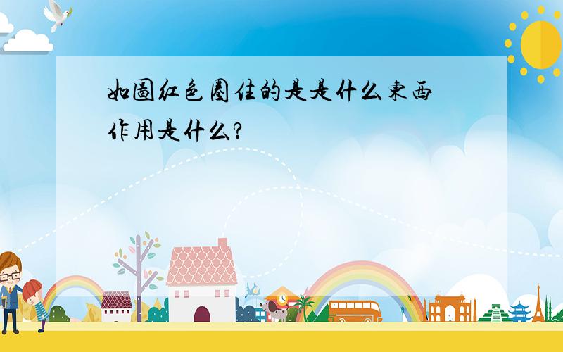 如图红色圈住的是是什么东西 作用是什么?