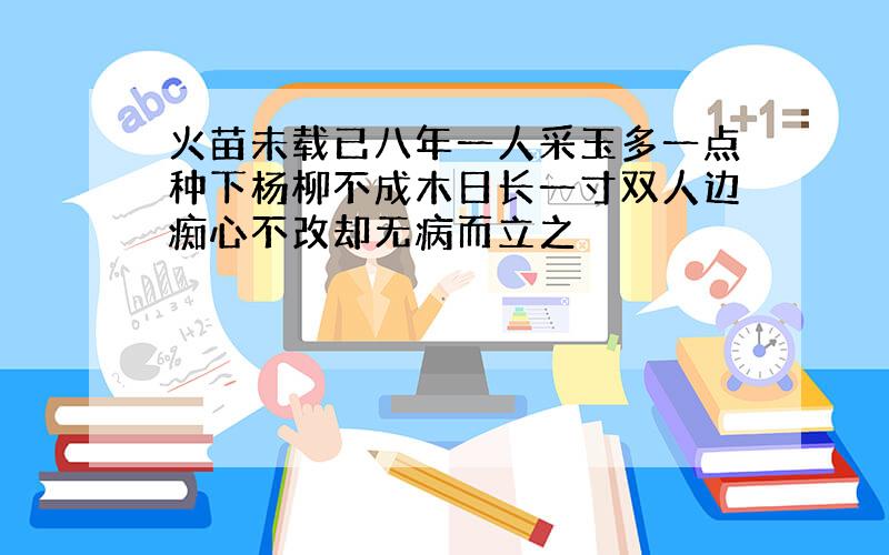 火苗未载已八年一人采玉多一点种下杨柳不成木日长一寸双人边痴心不改却无病而立之