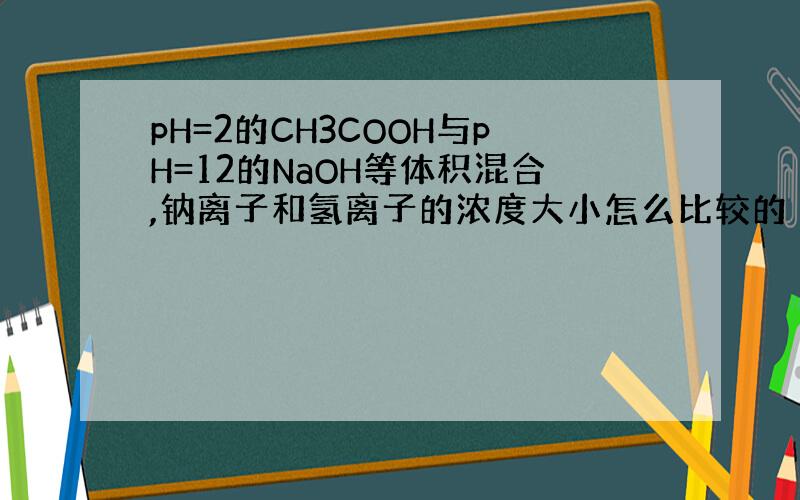 pH=2的CH3COOH与pH=12的NaOH等体积混合,钠离子和氢离子的浓度大小怎么比较的