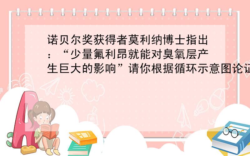 诺贝尔奖获得者莫利纳博士指出：“少量氟利昂就能对臭氧层产生巨大的影响”请你根据循环示意图论证他的观