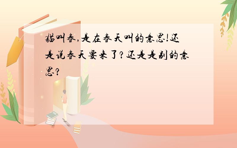 猫叫春,是在春天叫的意思!还是说春天要来了?还是是别的意思?