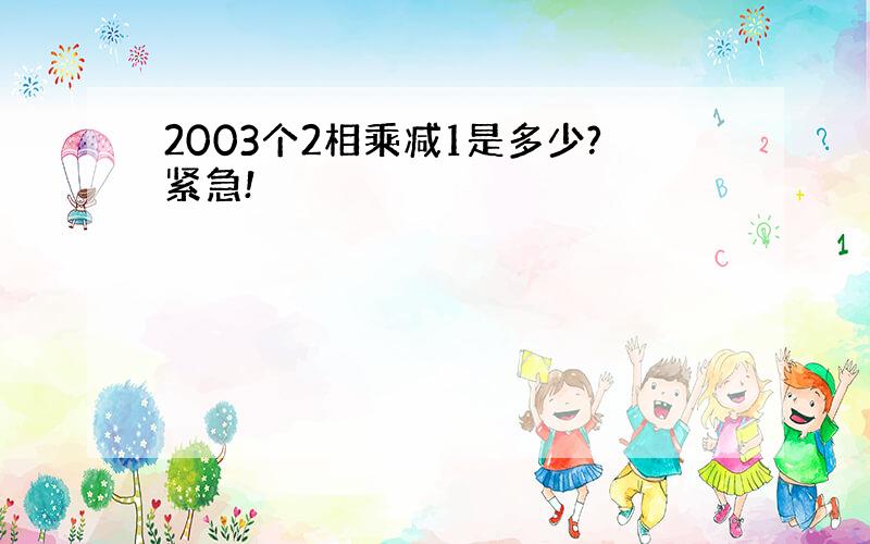 2003个2相乘减1是多少?紧急!