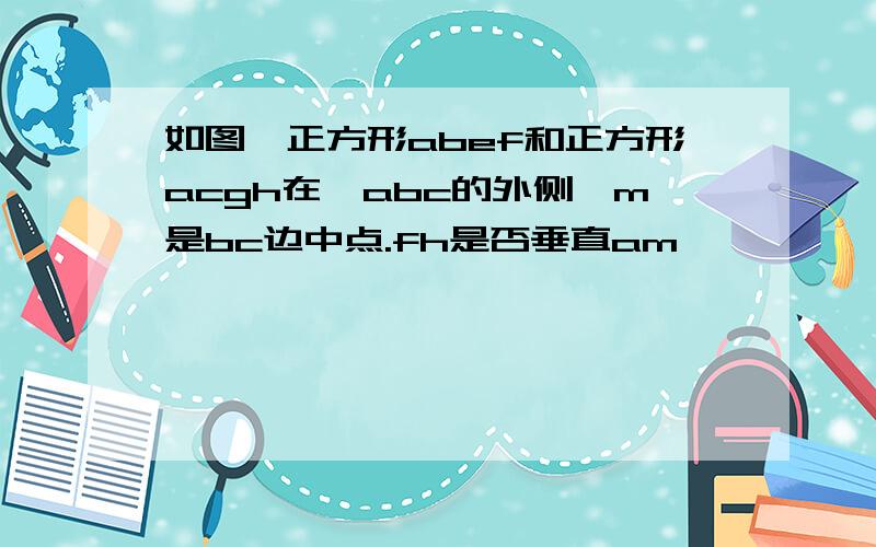 如图,正方形abef和正方形acgh在△abc的外侧,m是bc边中点.fh是否垂直am