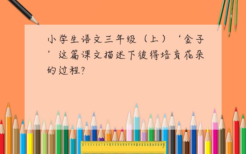 小学生语文三年级（上）‘金子’这篇课文描述下彼得培育花朵的过程?