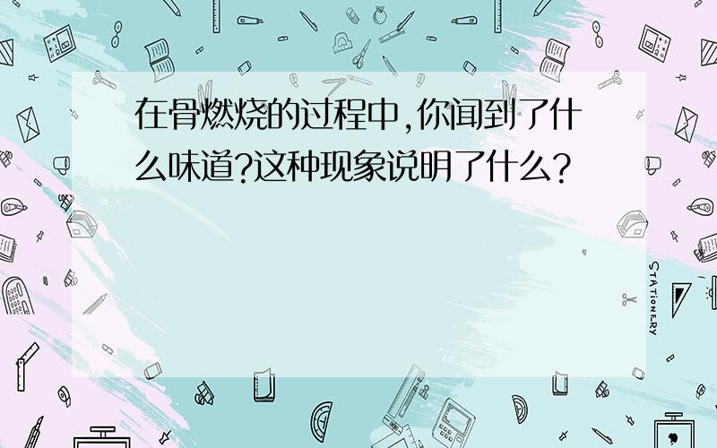 在骨燃烧的过程中,你闻到了什么味道?这种现象说明了什么?