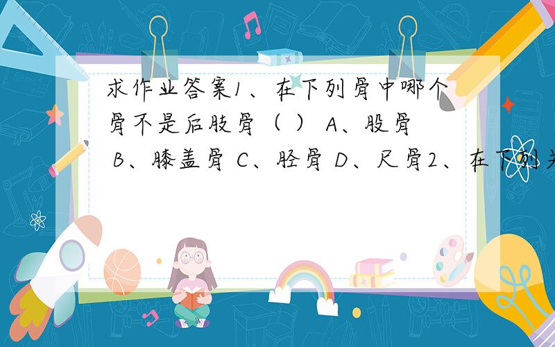 求作业答案1、在下列骨中哪个骨不是后肢骨（ ） A、股骨 B、膝盖骨 C、胫骨 D、尺骨2、在下列关警卫员哪个关节不是前