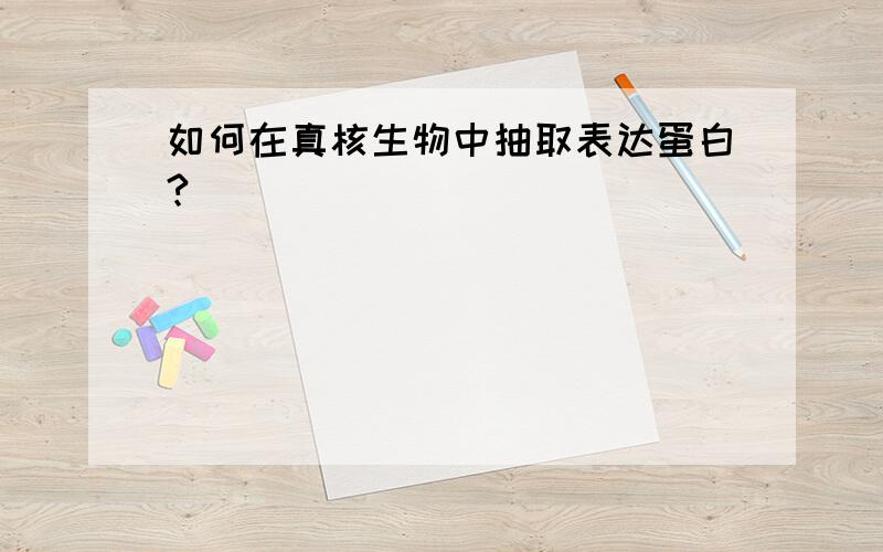 如何在真核生物中抽取表达蛋白?