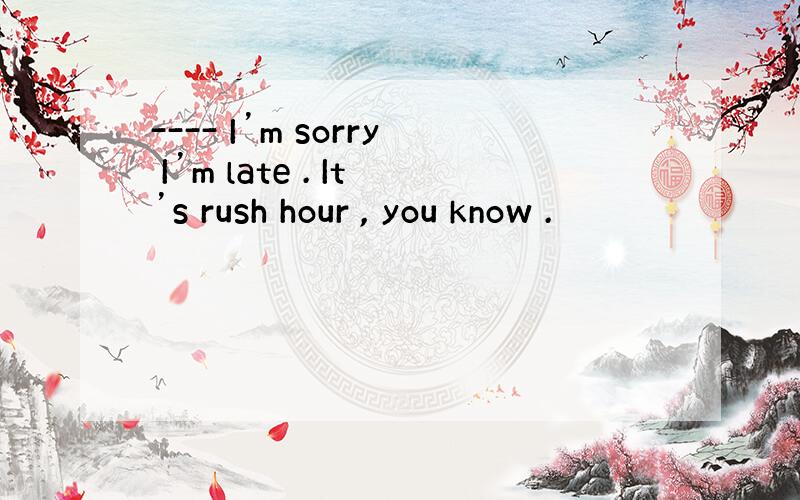 ---- I’m sorry I’m late . It’s rush hour , you know .