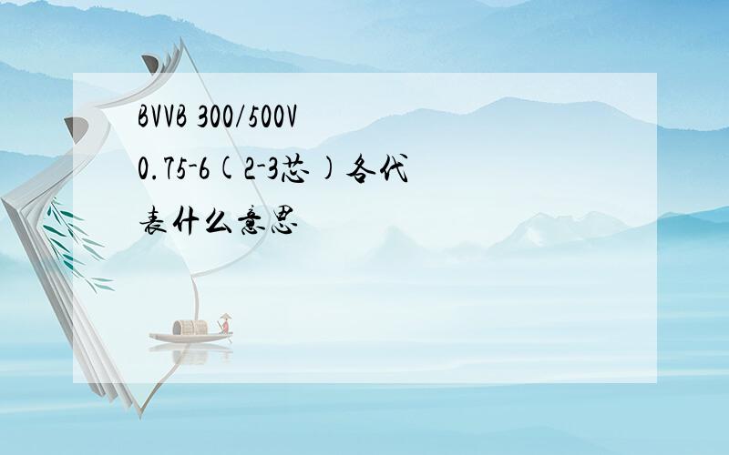 BVVB 300/500V 0.75-6(2-3芯)各代表什么意思