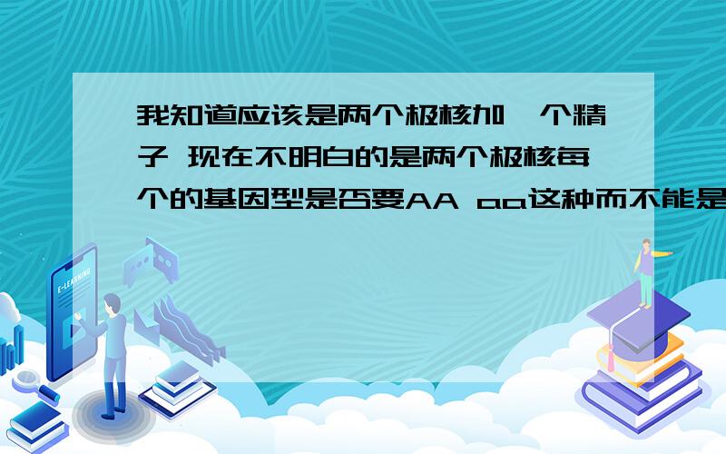 我知道应该是两个极核加一个精子 现在不明白的是两个极核每个的基因型是否要AA aa这种而不能是Aa为什么?