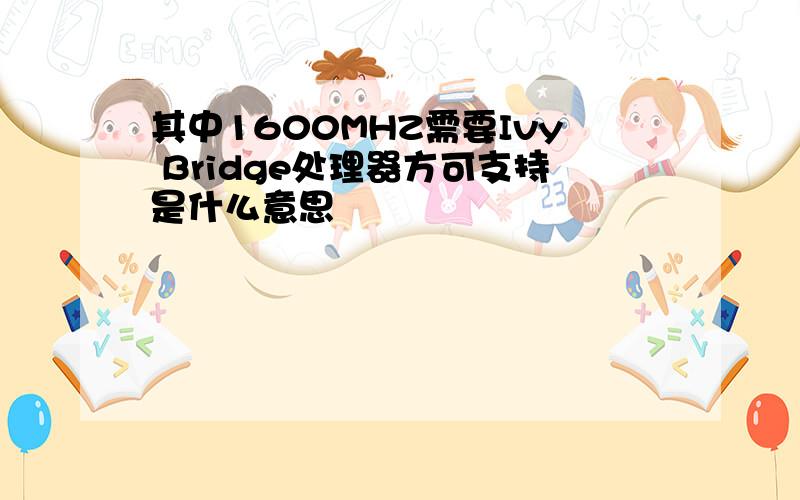 其中1600MHZ需要Ivy Bridge处理器方可支持是什么意思