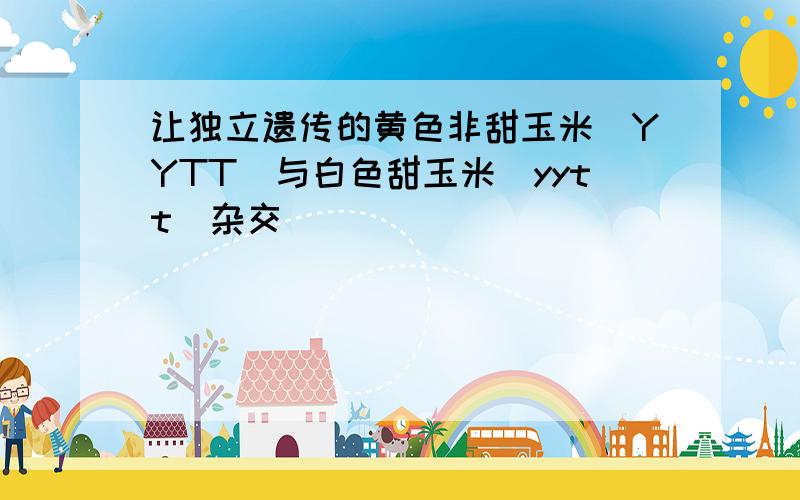 让独立遗传的黄色非甜玉米（YYTT）与白色甜玉米(yytt)杂交