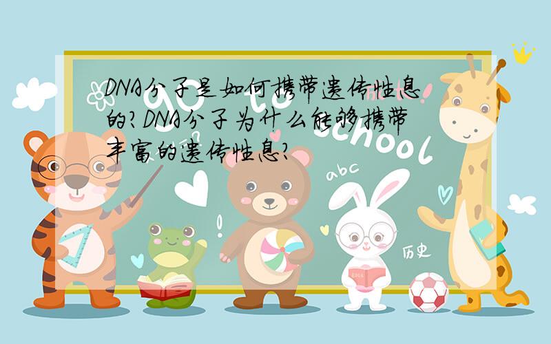 DNA分子是如何携带遗传性息的?DNA分子为什么能够携带丰富的遗传性息?