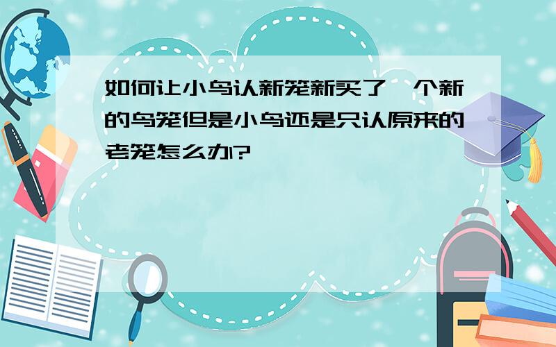 如何让小鸟认新笼新买了一个新的鸟笼但是小鸟还是只认原来的老笼怎么办?