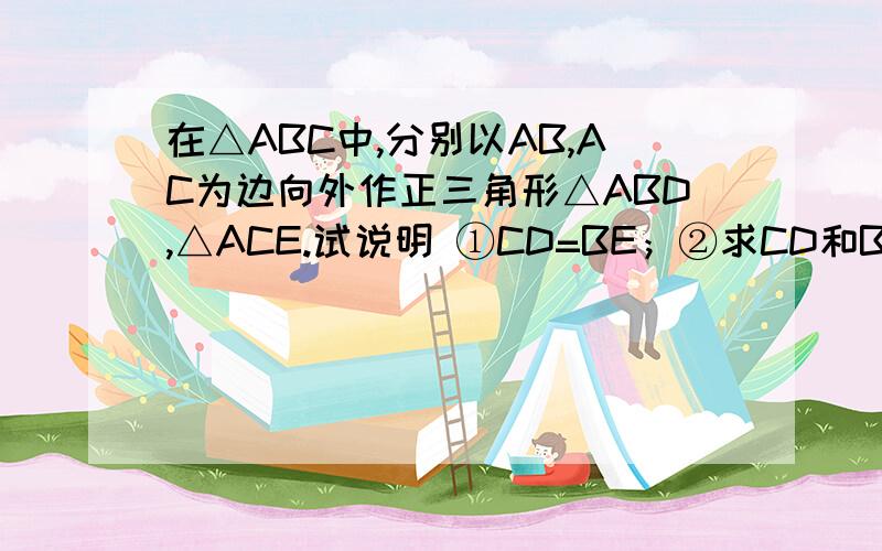 在△ABC中,分别以AB,AC为边向外作正三角形△ABD,△ACE.试说明 ①CD=BE；②求CD和BE所成的锐角的度数