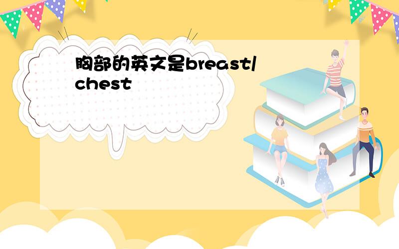 胸部的英文是breast/ chest