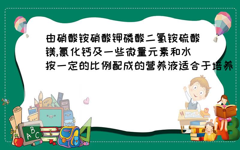 由硝酸铵硝酸钾磷酸二氢铵硫酸镁,氯化钙及一些微量元素和水按一定的比例配成的营养液适合于培养