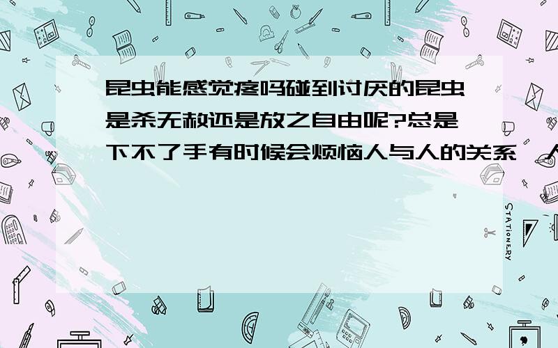 昆虫能感觉疼吗碰到讨厌的昆虫是杀无赦还是放之自由呢?总是下不了手有时候会烦恼人与人的关系,人与动物的关系?