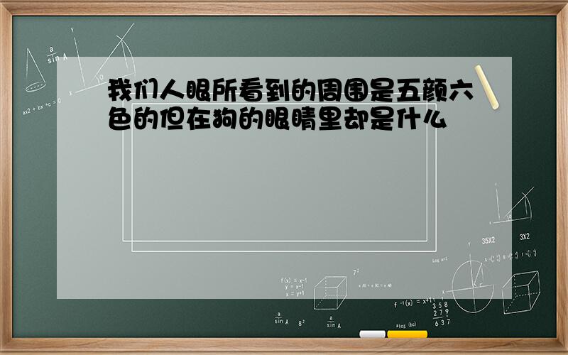 我们人眼所看到的周围是五颜六色的但在狗的眼睛里却是什么