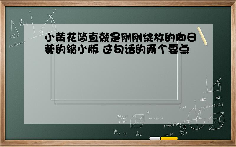 小黄花简直就是刚刚绽放的向日葵的缩小版 这句话的两个要点