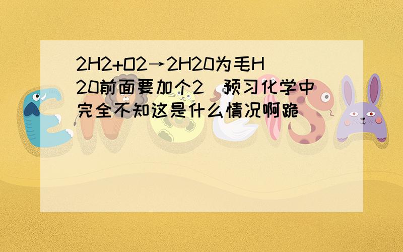 2H2+O2→2H20为毛H20前面要加个2[预习化学中完全不知这是什么情况啊跪]