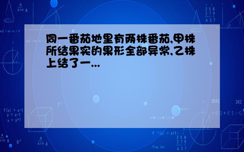 同一番茄地里有两株番茄,甲株所结果实的果形全部异常,乙株上结了一...