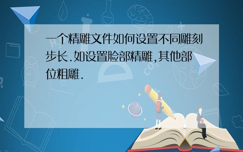 一个精雕文件如何设置不同雕刻步长.如设置脸部精雕,其他部位粗雕.