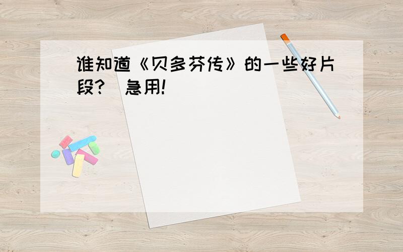 谁知道《贝多芬传》的一些好片段?（急用!）