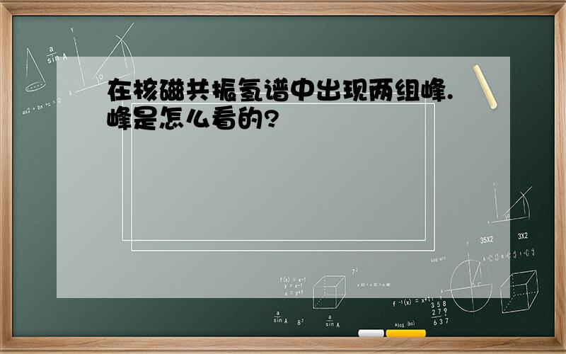 在核磁共振氢谱中出现两组峰.峰是怎么看的?