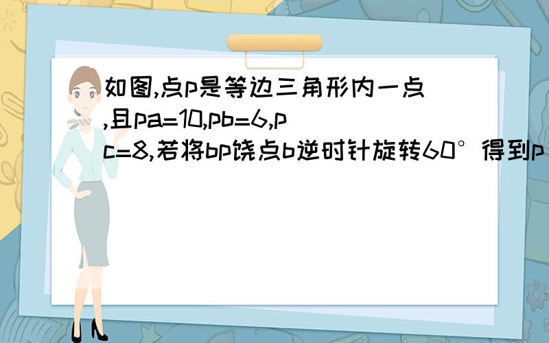 如图,点p是等边三角形内一点,且pa=10,pb=6,pc=8,若将bp饶点b逆时针旋转60°得到p′.（1）求证AP′