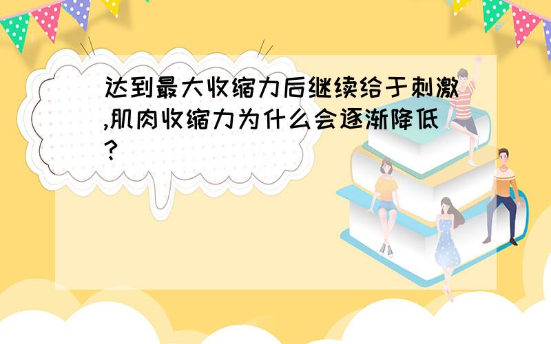 达到最大收缩力后继续给于刺激,肌肉收缩力为什么会逐渐降低?