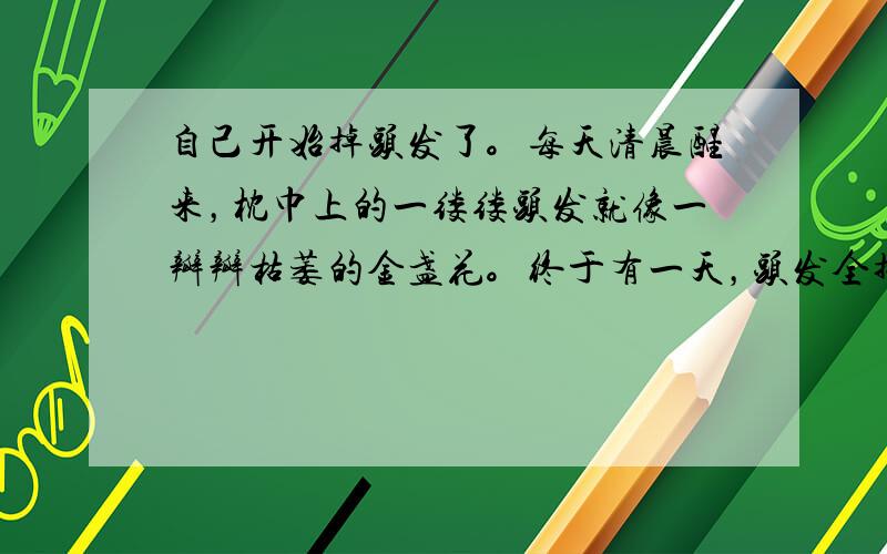 自己开始掉头发了。每天清晨醒来，枕巾上的一缕缕头发就像一瓣瓣枯萎的金盏花。终于有一天，头发全掉光了。我害怕极了，不敢再出