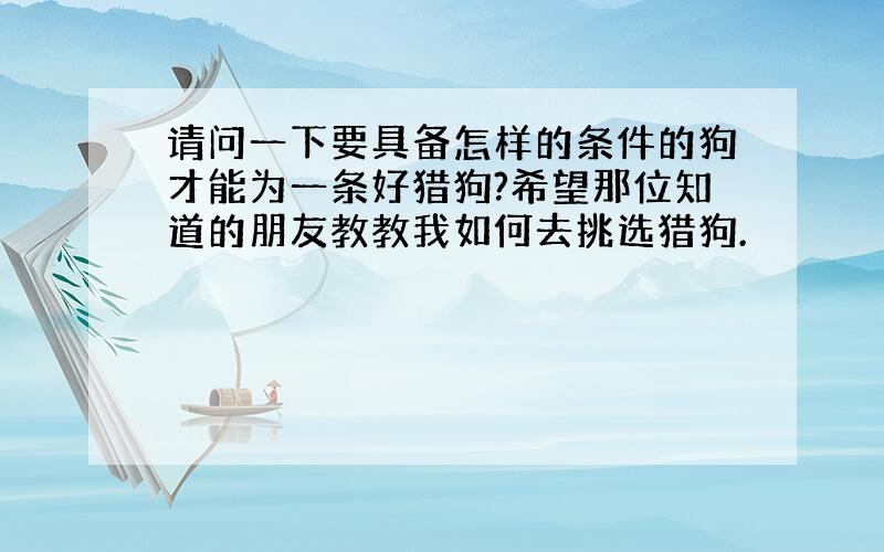 请问一下要具备怎样的条件的狗才能为一条好猎狗?希望那位知道的朋友教教我如何去挑选猎狗.