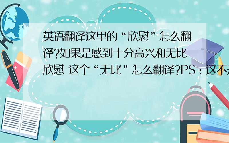 英语翻译这里的“欣慰”怎么翻译?如果是感到十分高兴和无比欣慰 这个“无比”怎么翻译?PS：这不是我的文章 我自己不会使用