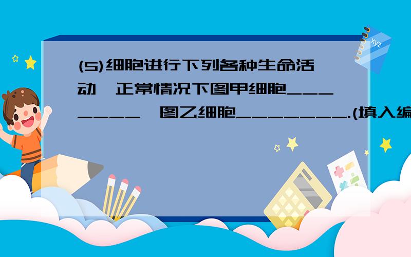 (5)细胞进行下列各种生命活动,正常情况下图甲细胞_______,图乙细胞_______.(填入编号)