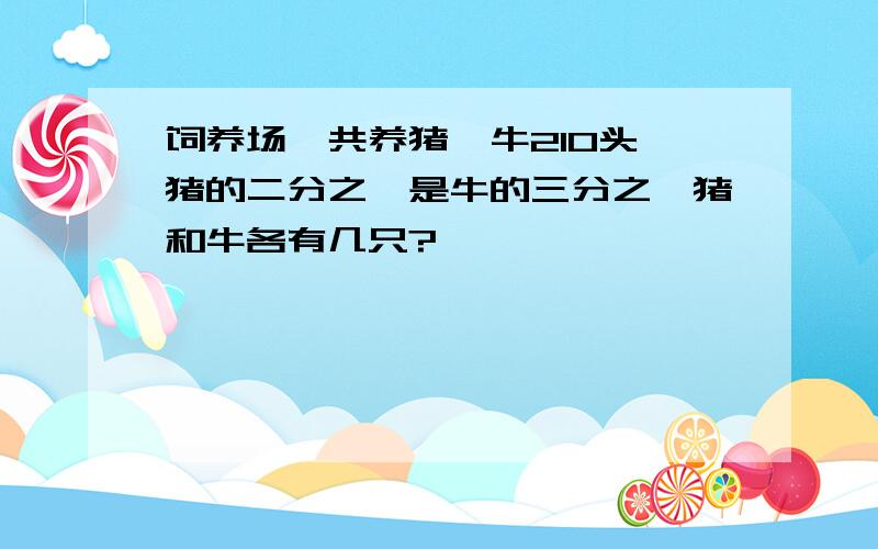 饲养场一共养猪,牛210头,猪的二分之一是牛的三分之一猪和牛各有几只?