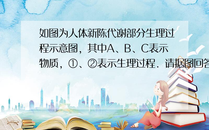 如图为人体新陈代谢部分生理过程示意图，其中A、B、C表示物质，①、②表示生理过程．请据图回答：