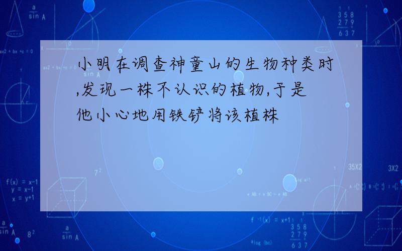 小明在调查神童山的生物种类时,发现一株不认识的植物,于是他小心地用铁铲将该植株