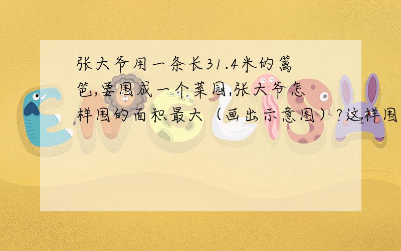 张大爷用一条长31.4米的篱笆,要围成一个菜园,张大爷怎样围的面积最大（画出示意图）?这样围菜地可以有多