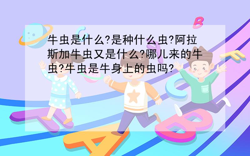 牛虫是什么?是种什么虫?阿拉斯加牛虫又是什么?哪儿来的牛虫?牛虫是牛身上的虫吗?