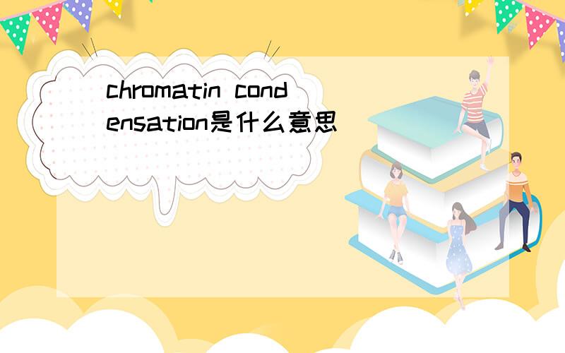 chromatin condensation是什么意思