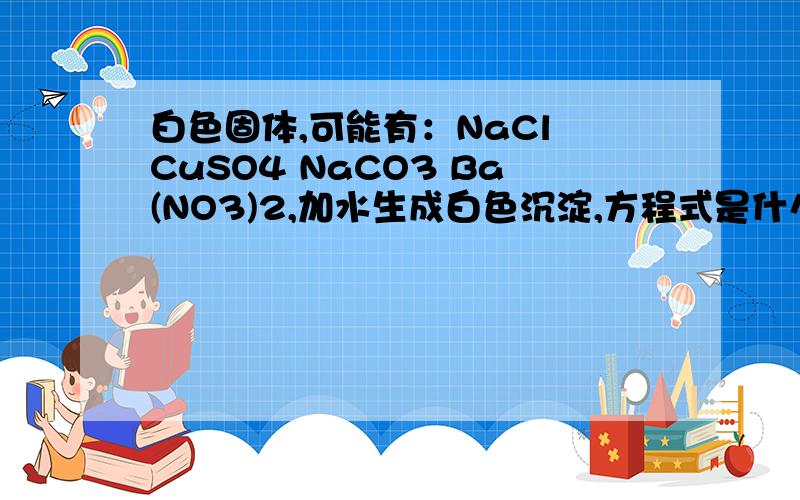 白色固体,可能有：NaCl CuSO4 NaCO3 Ba(NO3)2,加水生成白色沉淀,方程式是什么?